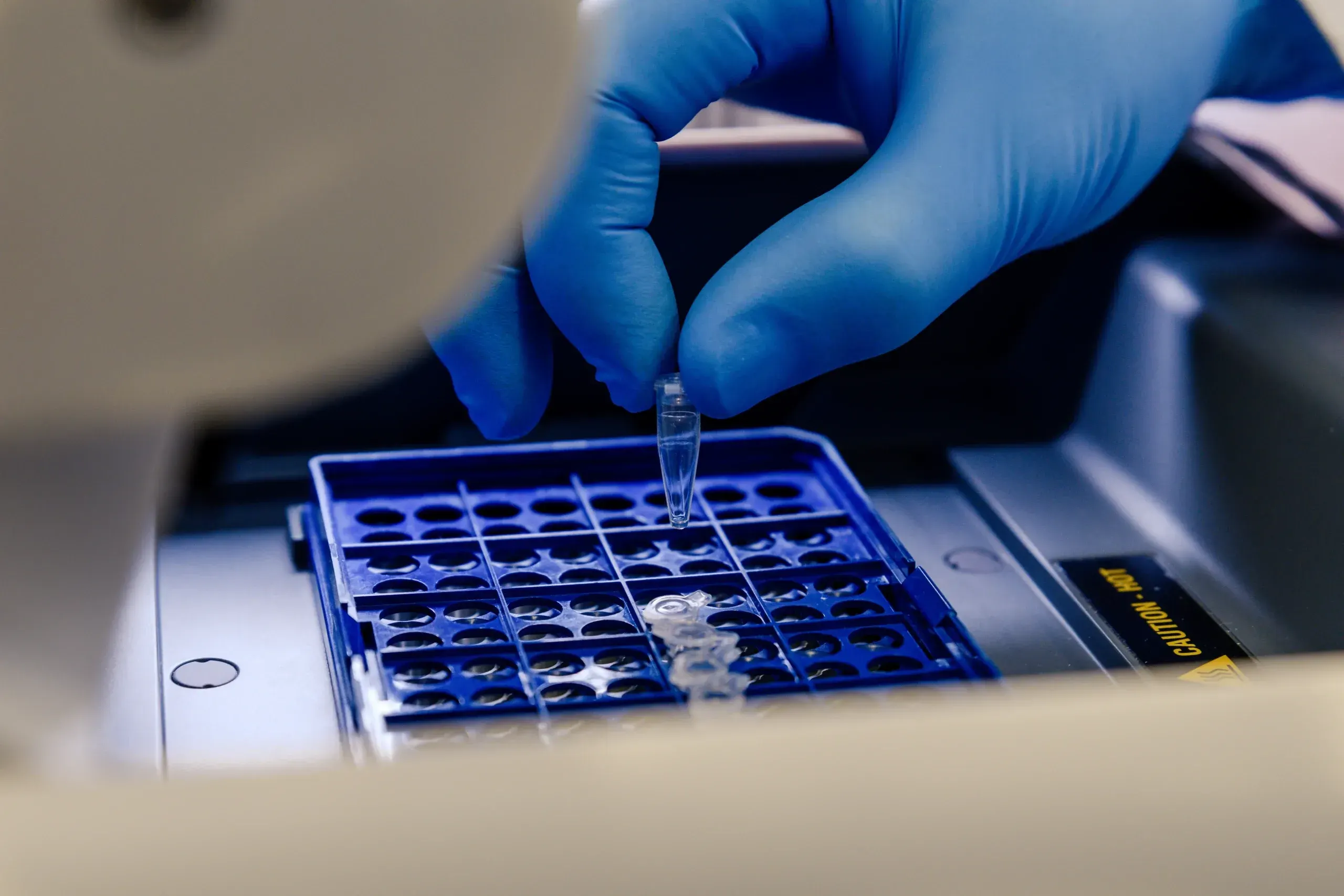 What Is GeneSight Genetic Testing?