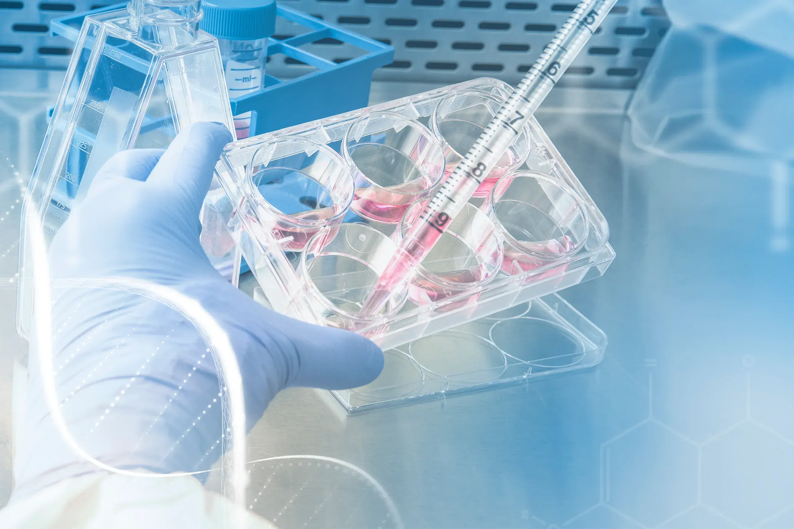 What GeneSight Testing Can Help With